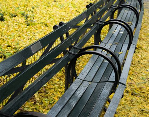 Adopt A Bench Central Park Conservancy