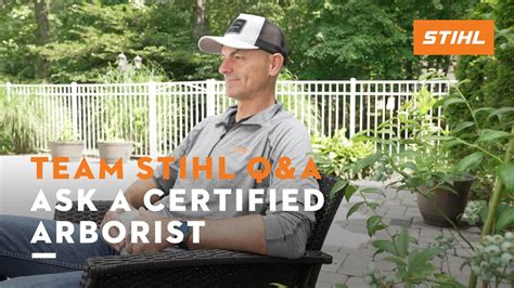 Learn About Trees With Certified Arborist Mark Chisholm Stihl Youtube