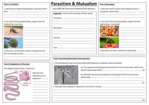 Sb9f Parasitism And Mutualism A3 Sheet Edexcel Single Biology Gcse