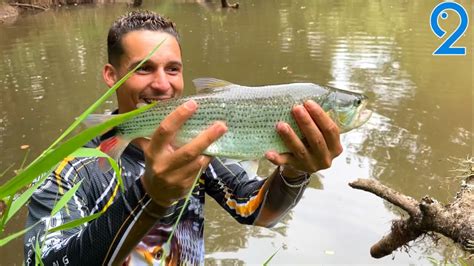 Fisguei Vezes O Mesmo Peixe Pescaria De Tabarana E Acar No Rio