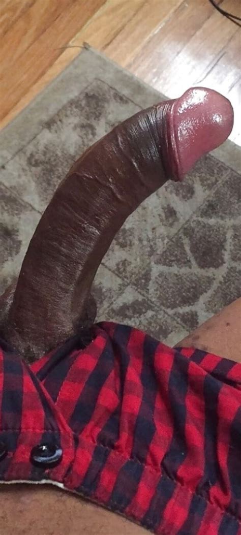 Beautiful Curved Pink Headed Black Cock Jack629