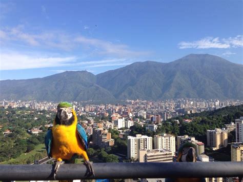 10 Best Places to Go in Caracas, Venezuela