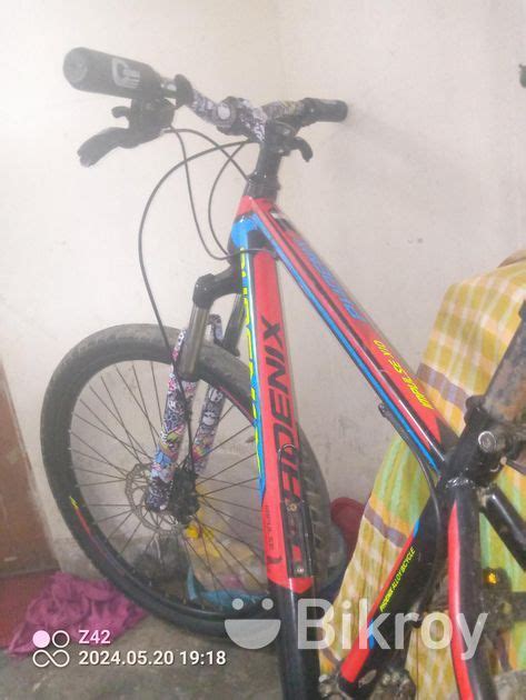 Phoenix Cycle For Sell Tejgaon Bikroy