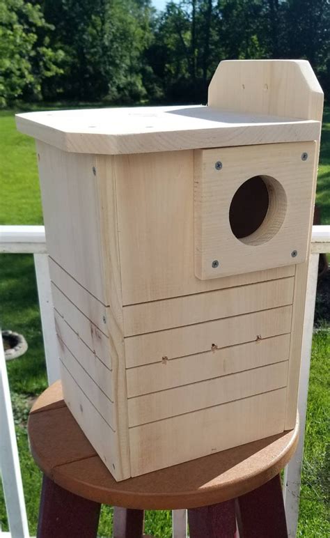 Basic Squirrel Nesting Box Made To Order Etsy