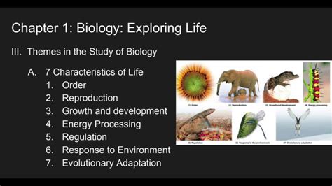 Chapter 1 Biology Exploring Life Youtube