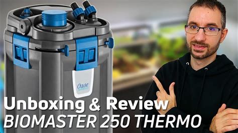 Filtro OASE BioMaster Thermo 250 Solución Definitiva para un Acuario