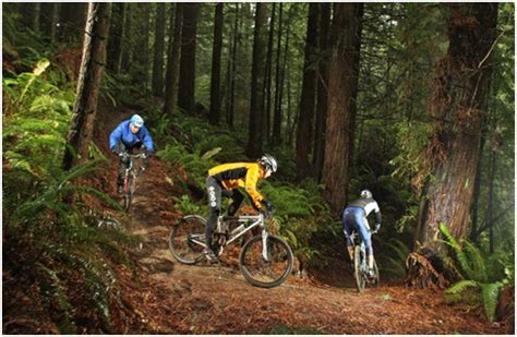 Mountain Biking in Rotorua | The Redwoods | Skyline Gravity Park