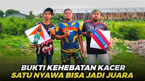 MENTAL JUARA KACER BERHASIL REBUT JUARA MESKI TINGGAL SATU NYAWA