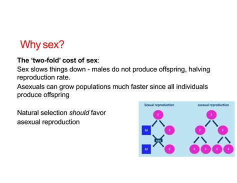 SOLUTION Lecture The Evolution Of Sex Studypool