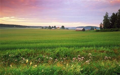 Sunlight Landscape Hill Nature Grass Sky Field Green Morning