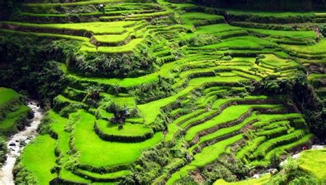 Banaue Rice Terraces Drawing At Explore Collection Of Banaue Rice Terraces