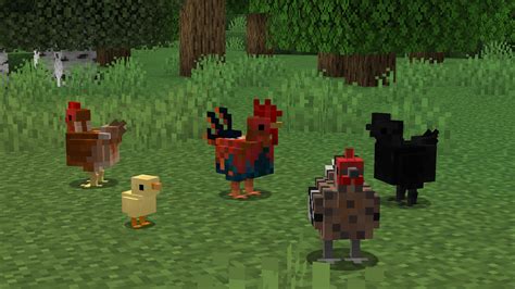 Better Chickens Minecraft Texture Pack