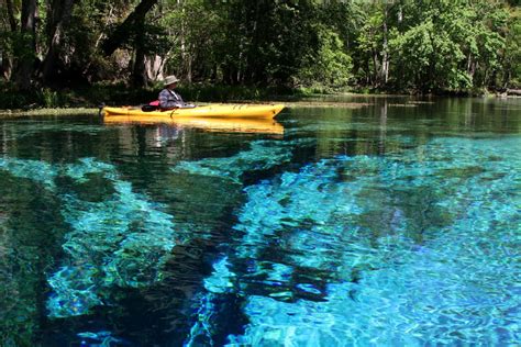 Gilchrist Blue Springs State Park High Springs Florida Top Hot Springs