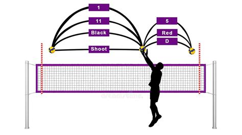 Mastering The Volleyball Set A Comprehensive Guide By Wiack Medium