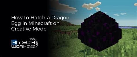 How To Hatch A Dragon Egg In Minecraft All You Need To Know