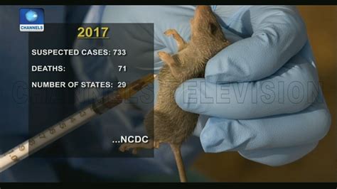 Lassa Fever Nigeria Records 317 Cases 72 Deaths In Less Than 3 Months In 2018 Pt 2 News 10