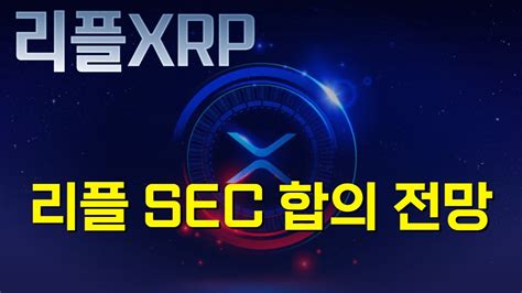 리플 Xrp 리플 Sec 합의 전망 Sec의 태도 전환 Youtube