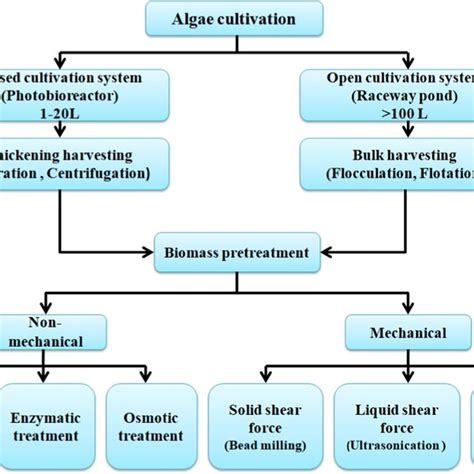 Schematic Diagram Of Different Types Of Pretreatment Process Used