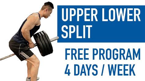 Upper Lower Body Split Workout Plan Eoua Blog