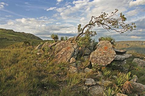 Relato Serra Do Espinha O Junho Travessia Expedi Es Fotogr Ficas