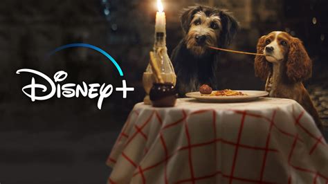 15 Filmes Incríveis Cachorros no Disney Plus para rir e se