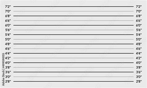 Police Mugshot Background Lineup Wall With A Inch Scale Template With