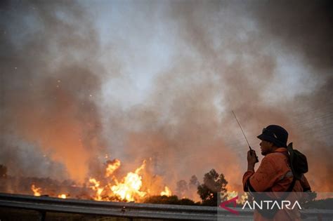 BBMKG Terpantau Tujuh Titik Panas Di Sumatera Utara ANTARA News