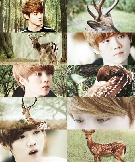 Exo Luhan Fanart Deer