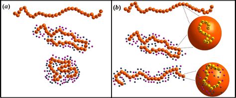 Schematic Showing The Screening Mechanism In A Purely Polyelectrolyte