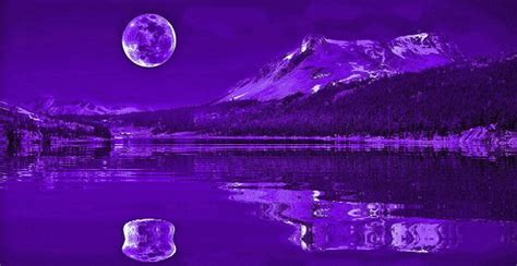 Purple Water Reflection 