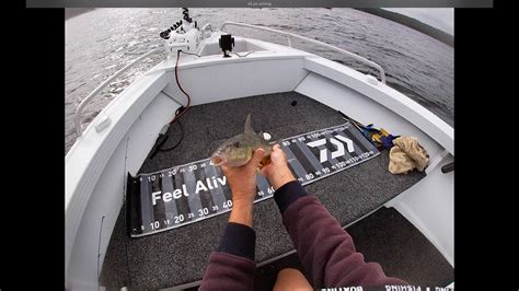 Big Whiting And Salmon Fishing Lake Macquarie May 2022 YouTube