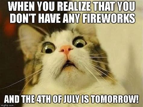 15 Funny And Patriotic 4th Of July Cat Memes Floppycats™