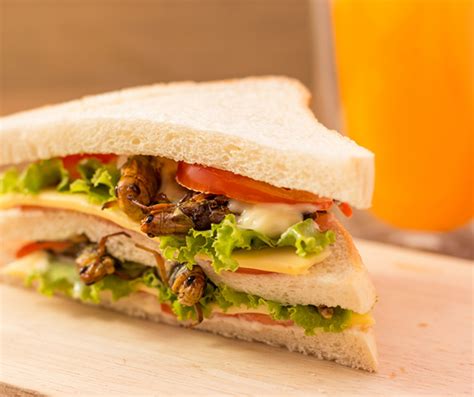 8 Food Trends for 2023 - McLean Meats - Clean Deli Meat & Healthy Meals