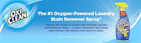 Amazon.com: OxiClean Laundry Stain Remover Spray, 21.5 oz. : Health & Household