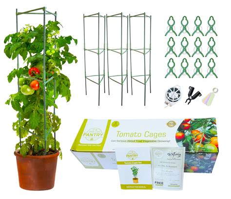 Amazon GROW YOUR PANTRY Tomato Cage 3 Pack 5 Ft Heavy Duty