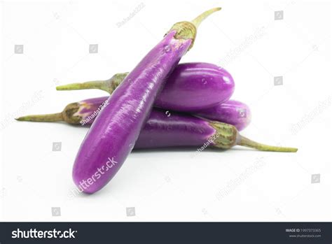 7,315 Purple Brinjal Stock Photos, Images & Photography | Shutterstock