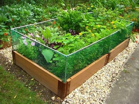 8 Images Keeping Rabbits Out Of Raised Garden Beds And View Alqu Blog