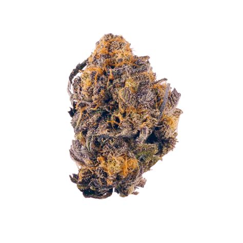 Weed Strains: Purple Kush - Cannabis Tutorials