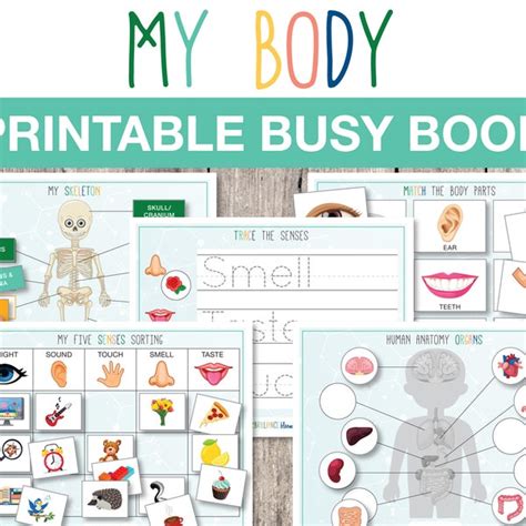 Human Body Book Etsy