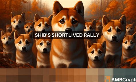 O aumento de 10 no preço do Shiba Inu vai durar Aqui está o que os