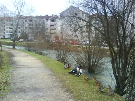 HercegBosna org Pogledaj temu Grad Široki Brijeg