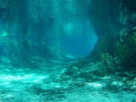 23 Most Beautiful Places To Visit In Florida Artofit