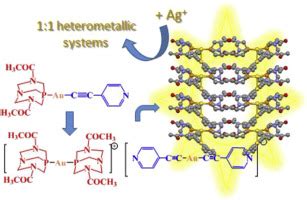 Supramolecular Assemblies And Photophysical Properties Of Ionic Homo