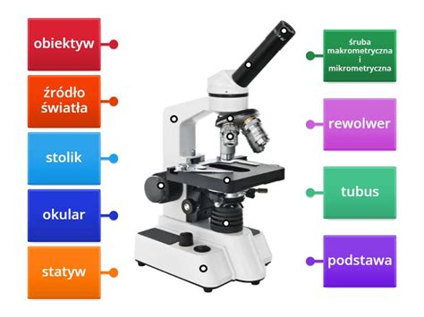 Budowa Mikroskopu Rysunek Z Opisami