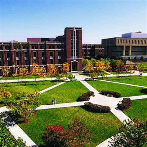 Depaul University Acceptance Rate 2024 - Reina Charleen