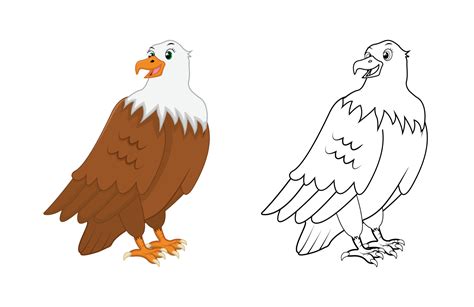 Cartoon Eagle Drawing