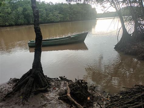 Finca En Venta En El Bongo El Bongo Veraguas 20 Hectareas U D 350