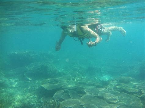 Spot Snorkeling Ini Tidak Jauh Dari Jakarta Raja Wisata