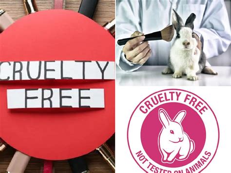 Marcas Cruelty Free En Listado Completo Tendenzias