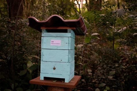 o projeto Jardim Doce Mel APCEF PR cria espaço para abelhas sem